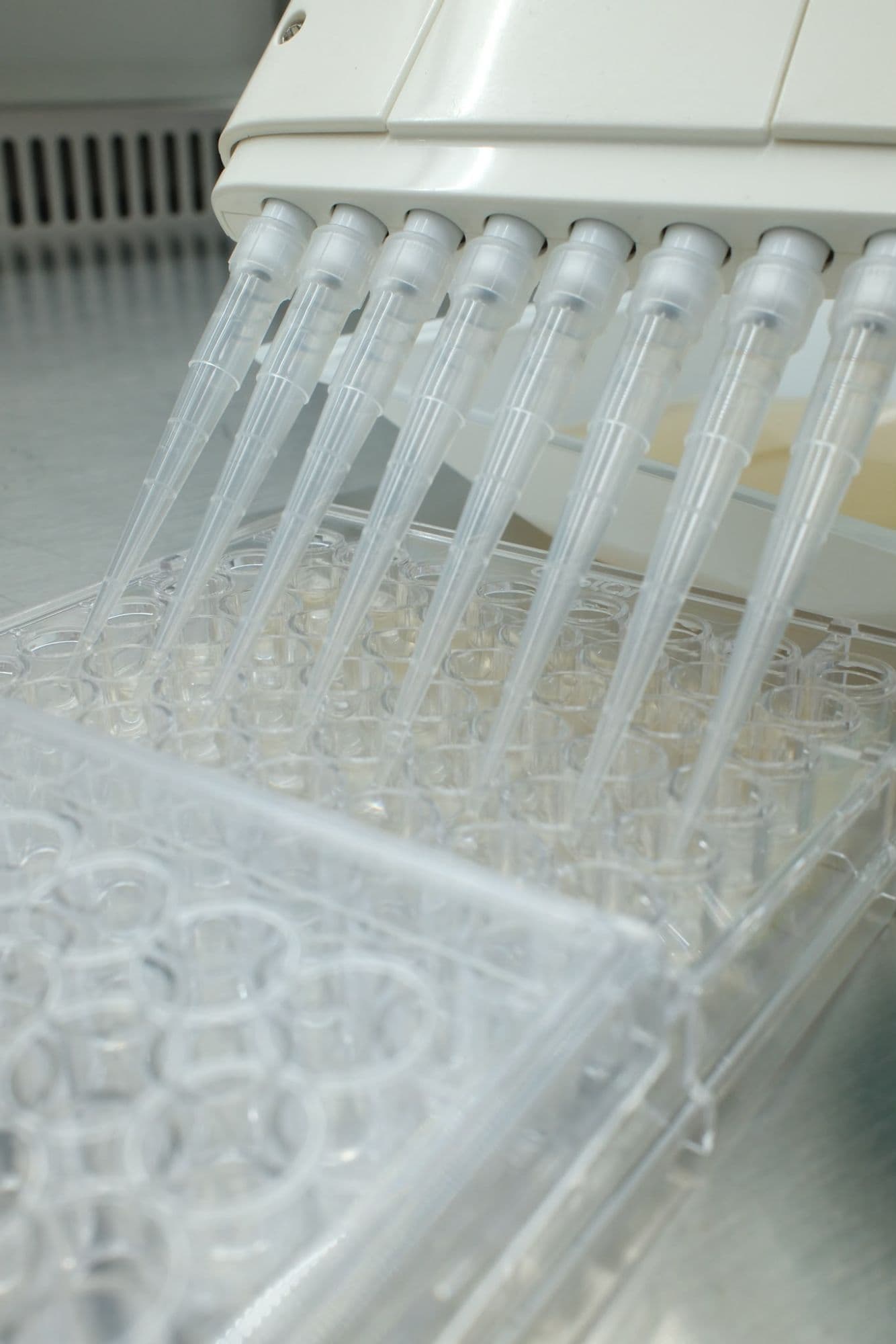 Multichannel pipette dispensing into a laboratory well plate